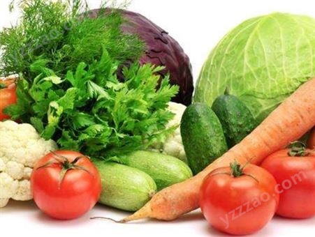 蔬菜配送_全程冷链_新鲜食材餐饮食材配送水产