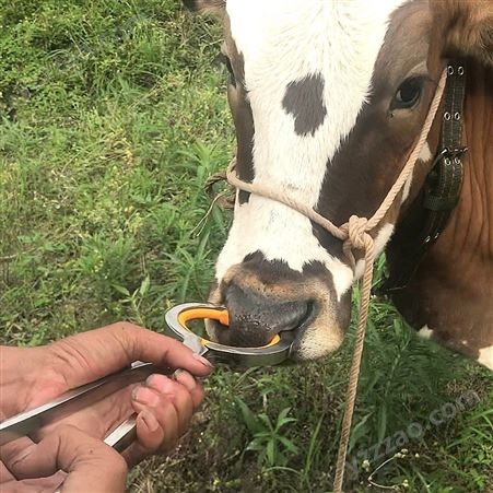 爱嘉宠 牛鼻环安装打孔钳 不锈钢牛 牛鼻打孔工具养牛用设备