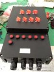 BXM8030-12防爆防腐照明配电箱